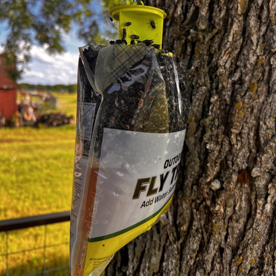 FlyDrop 6 Pack - Outdoor Disposable Hanging Fly Traps